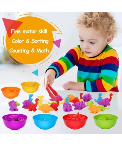 Counting Dinosaurs Toys for Kids with Sorting Bowls Toddler Learning Activities Ages 2-4 Preschool Early Educational Montesso...