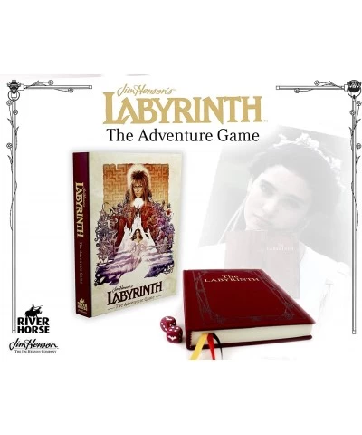 Labyrinth The Adventure Game $59.64 Board Games