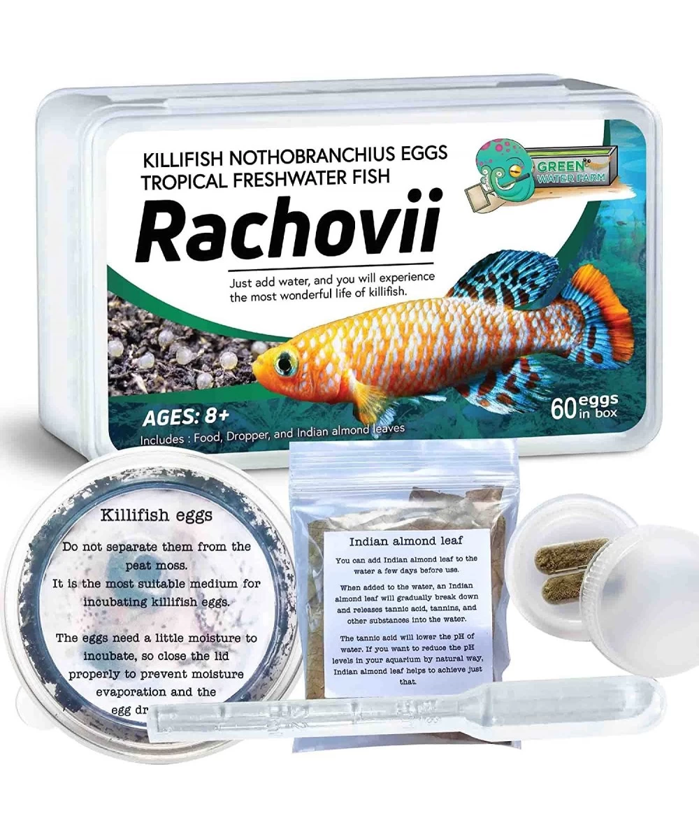 Killifish Eggs Nothobranchius [Rachovii] - Tropical Freshwater Fish Eggs for Hatching Packed with Food Dropper and Indian Alm...