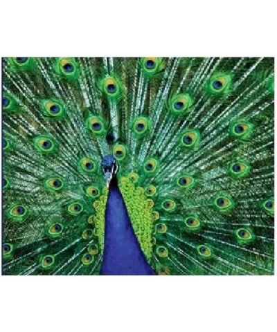 Eyes of Color 1000 Piece Jigsaw Puzzle $73.02 Jigsaw Puzzles