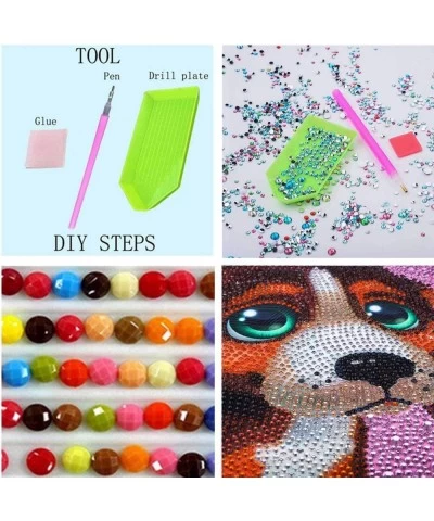 5D Diamond Painting Kits for Kids Full Drill Painting by Number Kits DIY Mosaic Making Arts Crafts Supplies for Children's Gi...