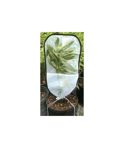 Butterfly Rearing Sleeve 10-in x 20-in RS100 $18.75 Habitat Science Kits