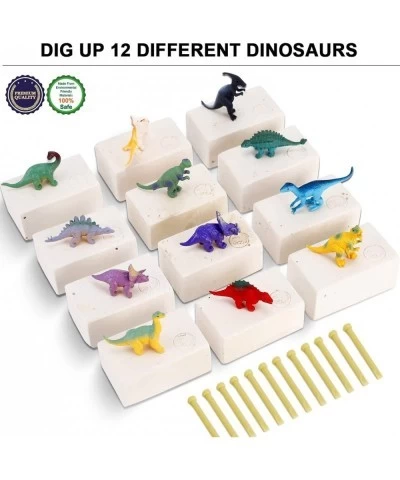 12 Pack Dig a Dinosaur Fossil and Figure Set | 1 Dozen 3D Dino Excavation Bulk Science Kits for Paleontology Archaeology STEM...