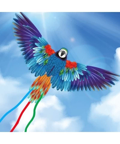 Parrot Huge Kite for Kids and Adults Easy to Fly Single Line String with Tail for Beach Trip Park Family Outdoor Games and Ac...